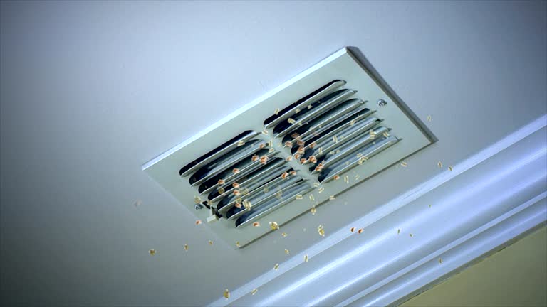 Best Air Duct Cleaning Near Me  in Picnic Point, WA
